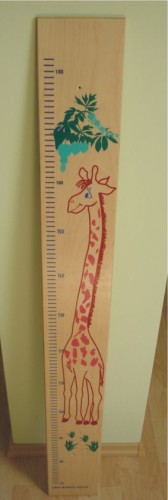 Miara wzrostu ucznia